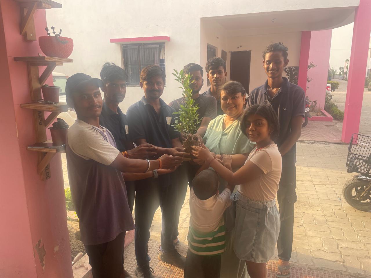 Teknoground Plant Plantation