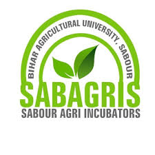 SABAGRI 2